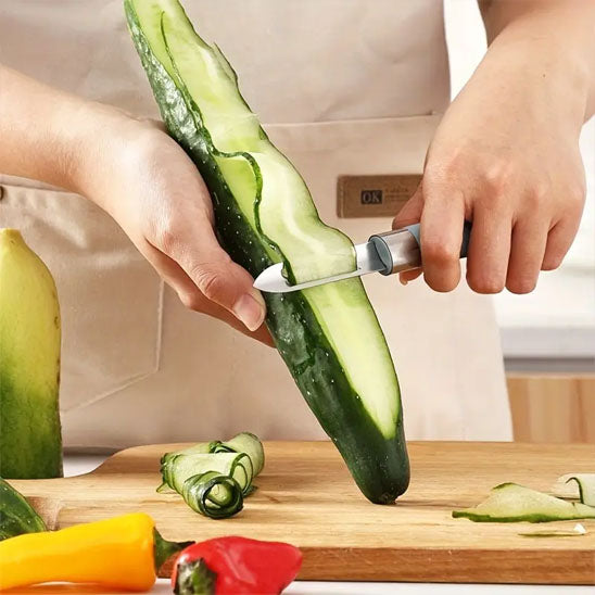 econome-econochef-concombre